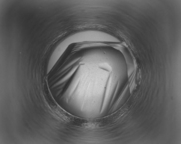 X0000082970356200702230013