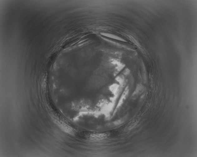 X0000082970357200702230013