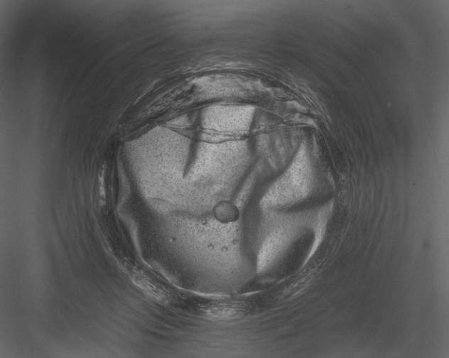 X0000082970358200702230013