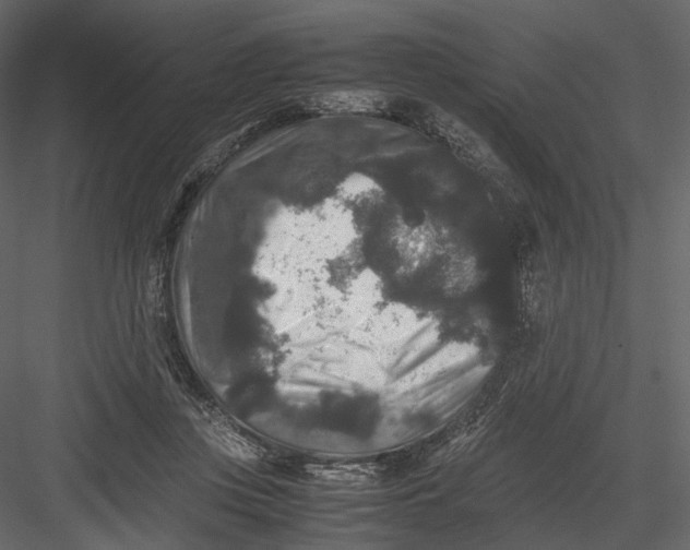 X0000082970359200702230013