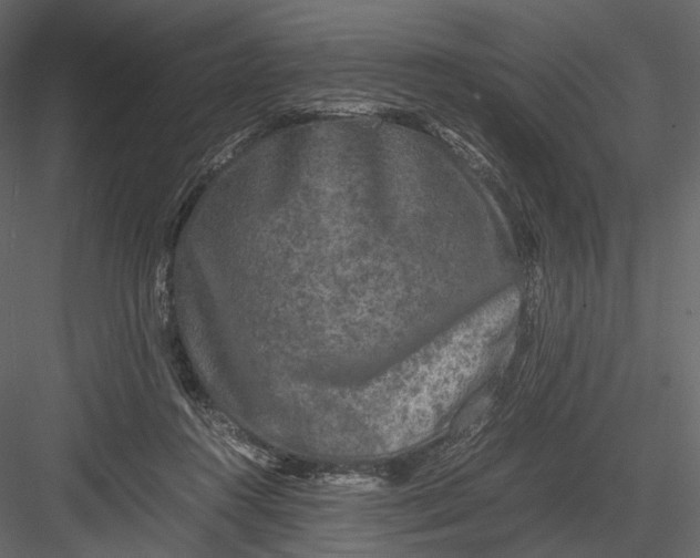 X0000082970360200702230013