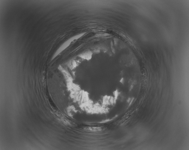 X0000082970361200702230013