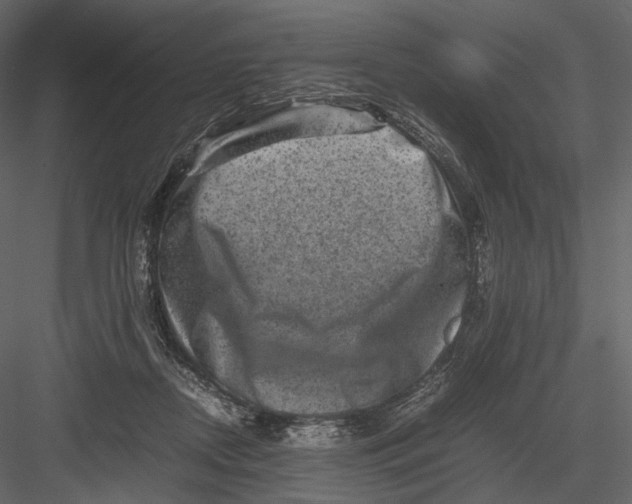 X0000082970362200702230013