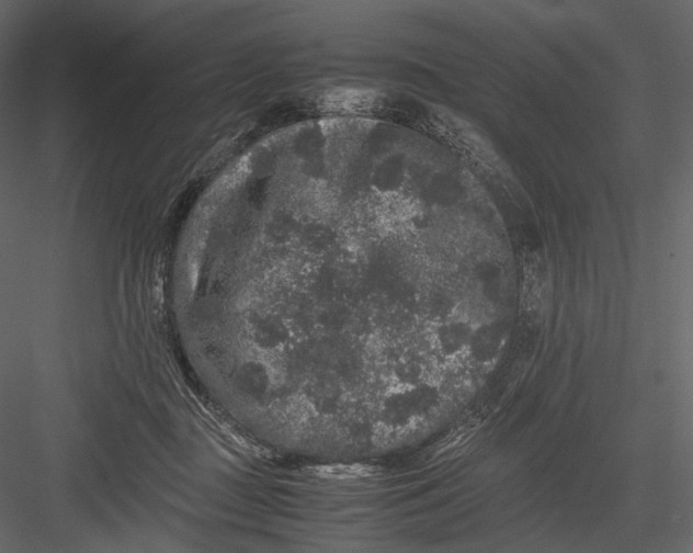 X0000082970363200702230013