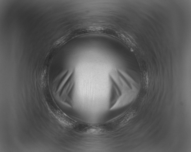 X0000082970364200702230013