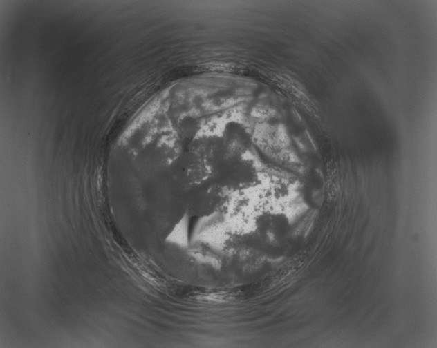 X0000082970365200702230013