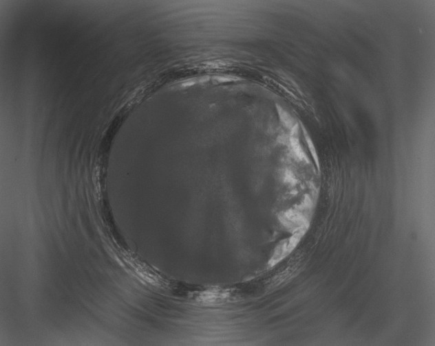 X0000082970366200702230013