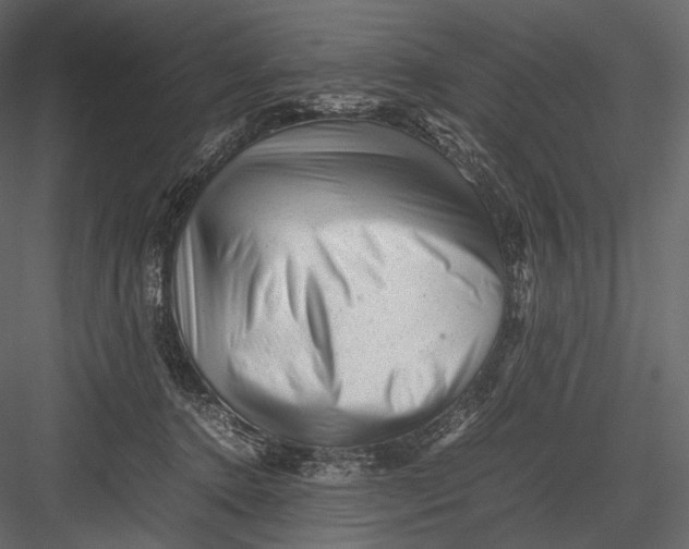 X0000082970368200702230013