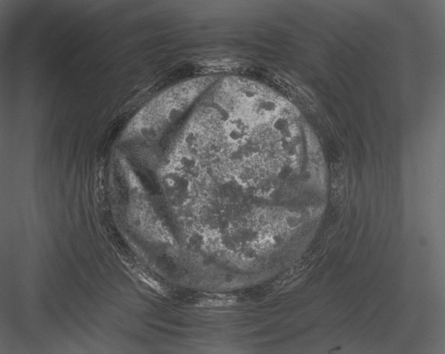 X0000082970369200702230013