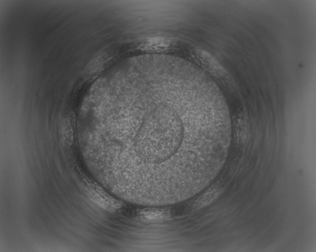 X0000082970370200702230013