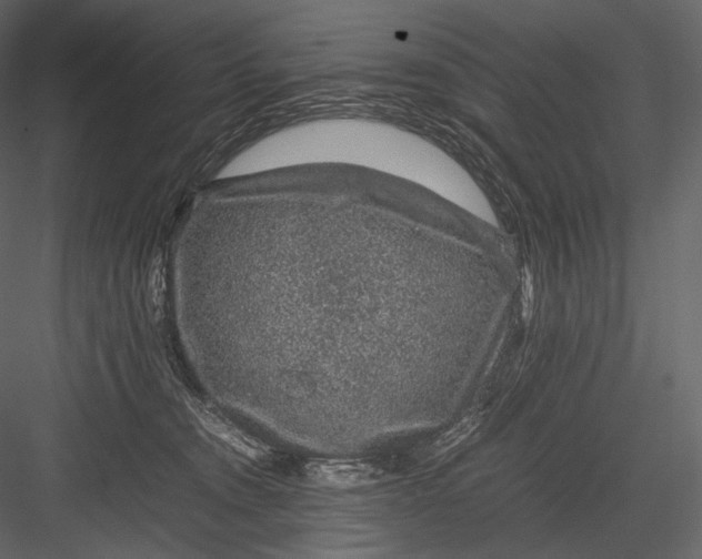 X0000082970372200702230013