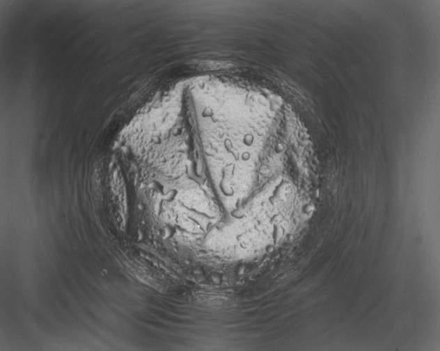 X0000082970373200702230013