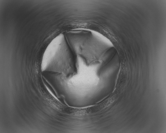 X0000082970374200702230013