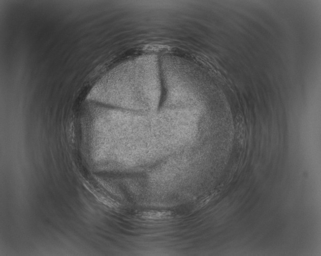 X0000082970375200702230013