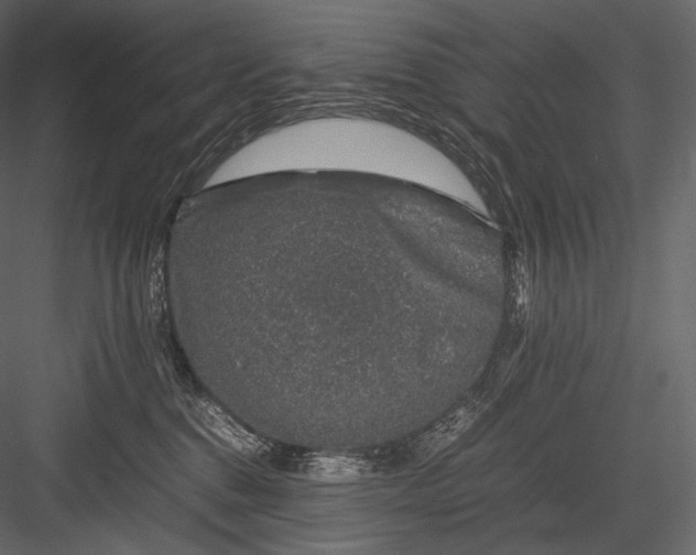 X0000082970376200702230013