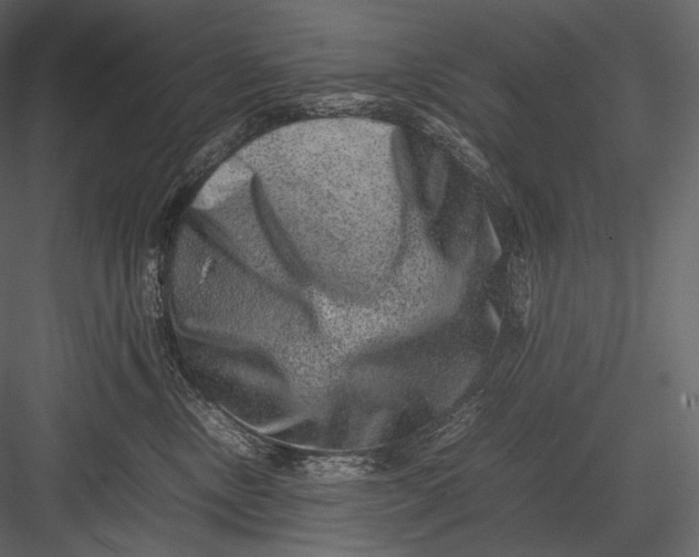 X0000082970378200702230013