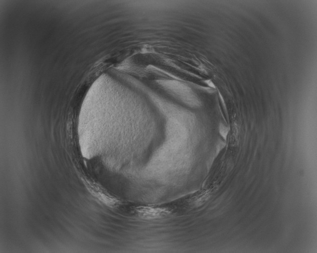 X0000082970379200702230013