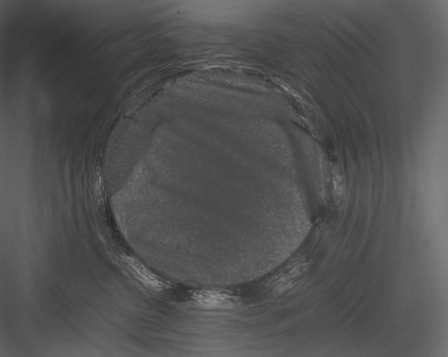 X0000082970380200702230013