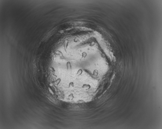 X0000082970381200702230013