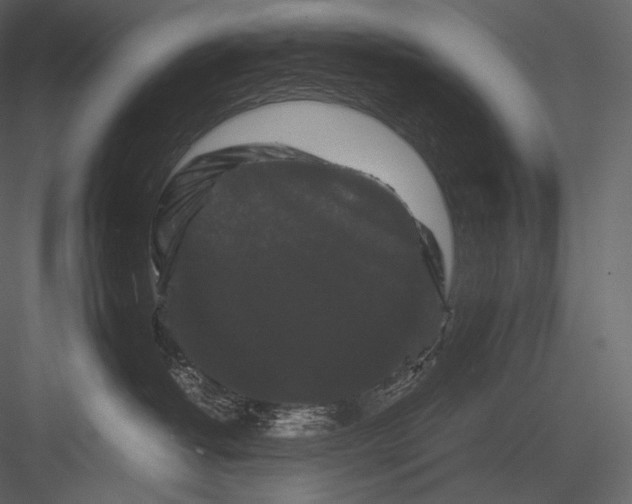 X0000082970382200702230013