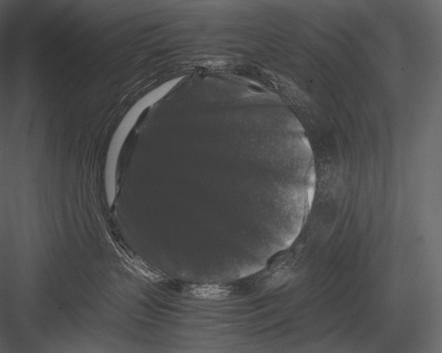 X0000082970383200702230013