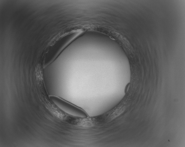 X0000082970384200702230013