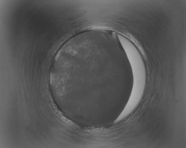 X0000082970385200702230012