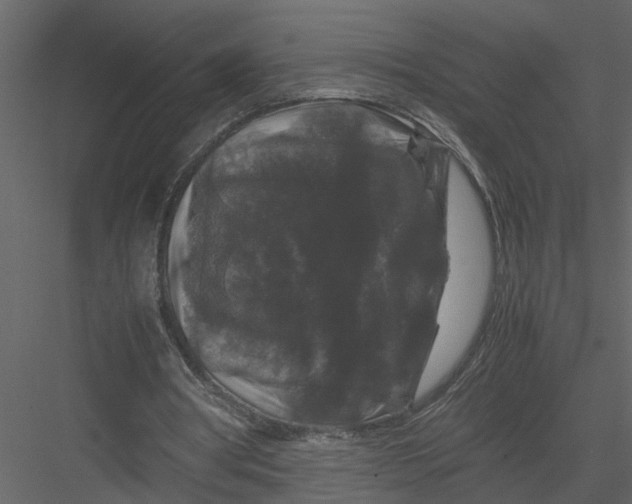 X0000082970386200702230012