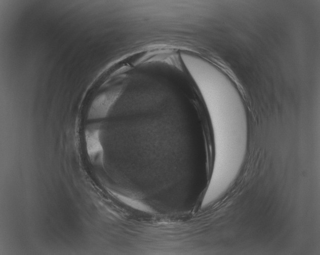 X0000082970387200702230012