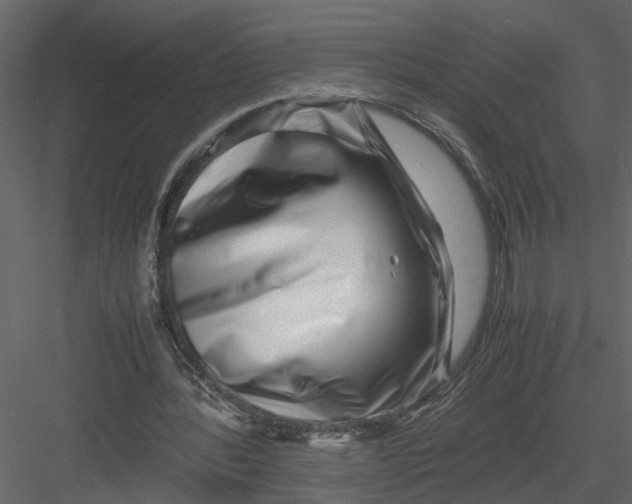 X0000082970388200702230012