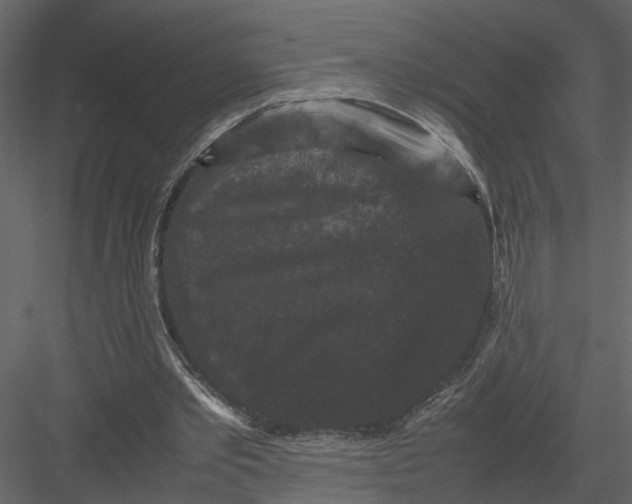 X0000082970389200702230012