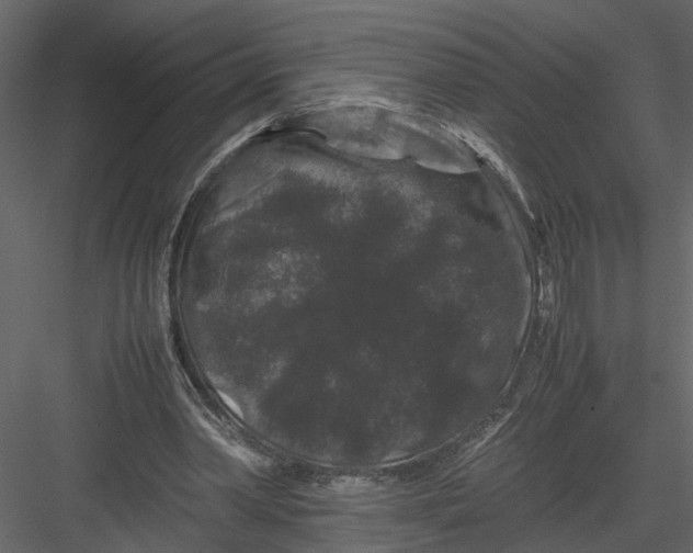 X0000082970390200702230012