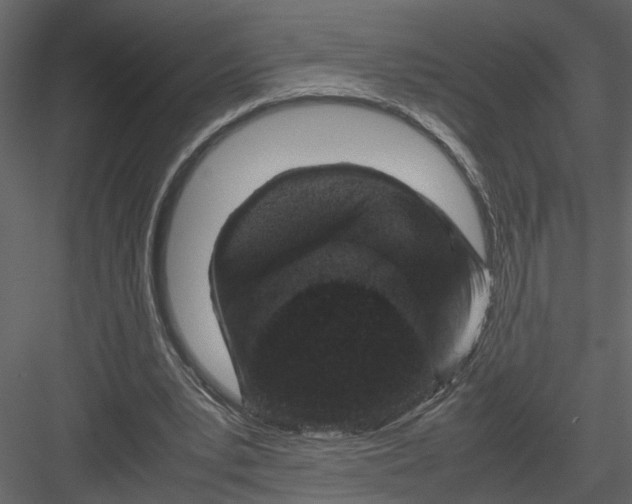 X0000082970391200702230012