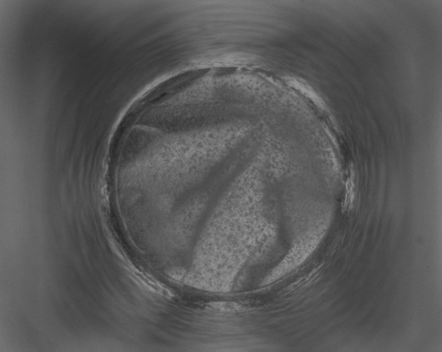 X0000082970392200702230012