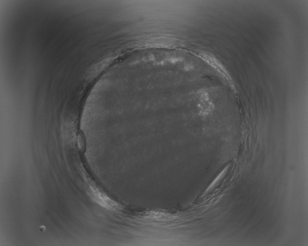 X0000082970393200702230012