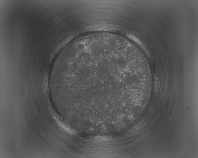 X0000082970394200702230012