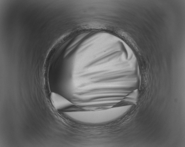 X0000082970395200702230012