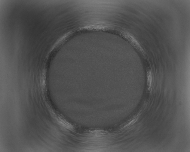 X0000082970396200702230012