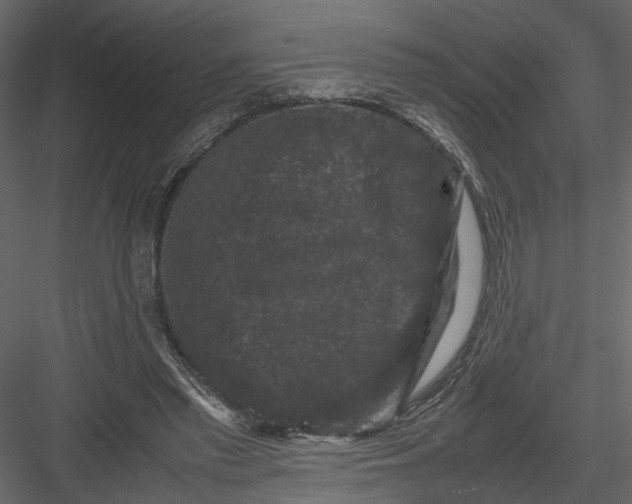 X0000082970397200702230012