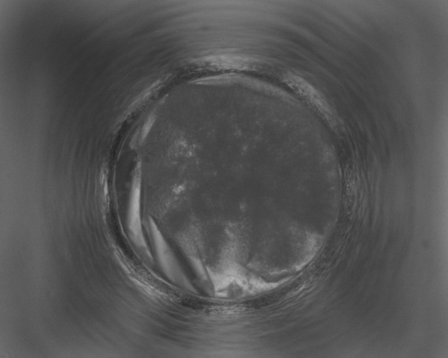 X0000082970398200702230012