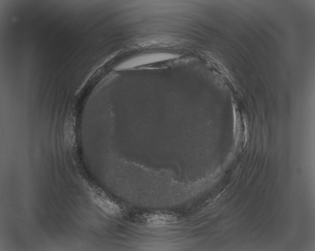 X0000082970400200702230012