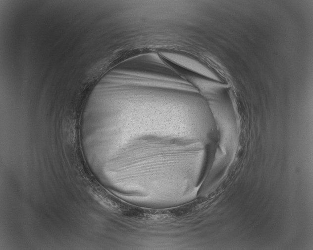 X0000082970401200702230012