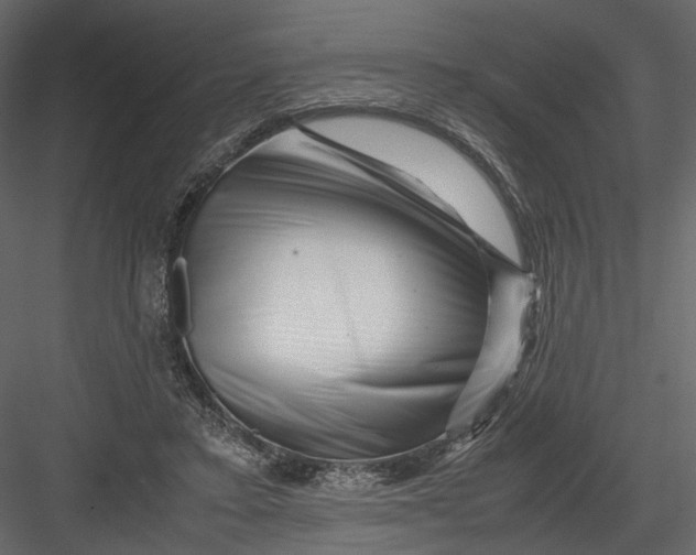 X0000082970403200702230012