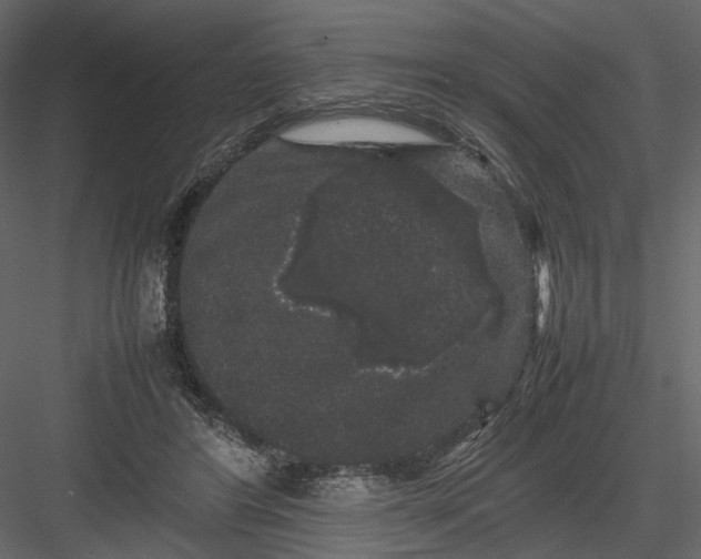 X0000082970404200702230012