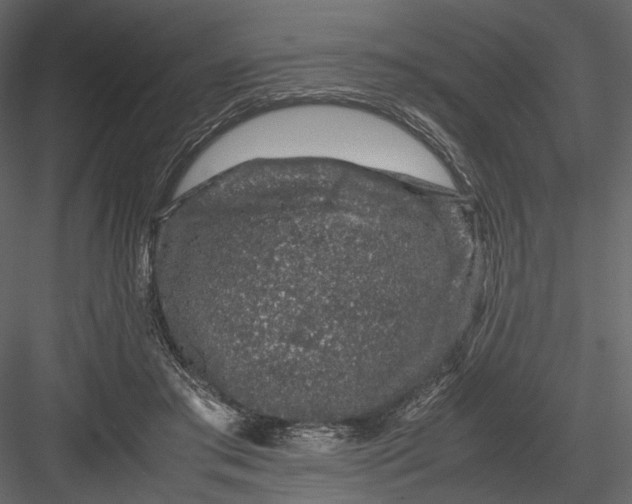 X0000082970405200702230012