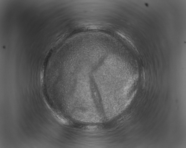 X0000082970406200702230012