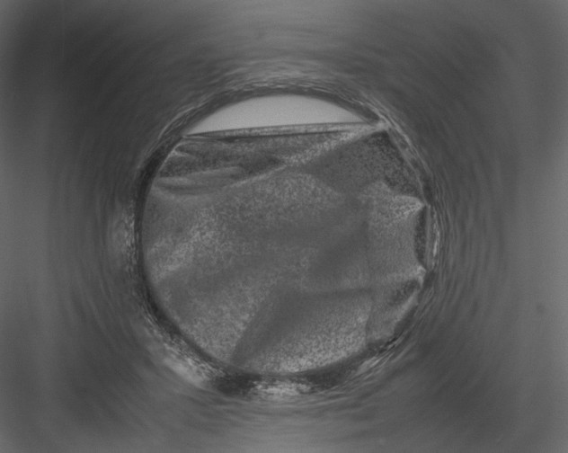 X0000082970407200702230012