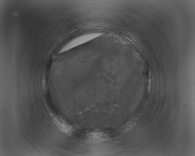 X0000082970408200702230012