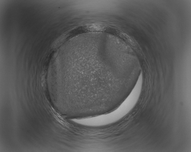 X0000082970409200702230012