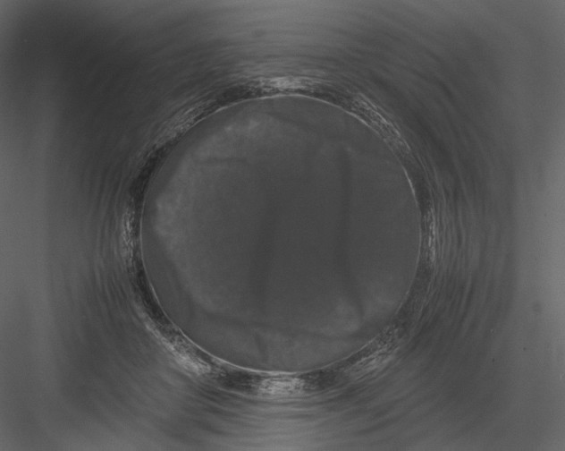 X0000082970410200702230012